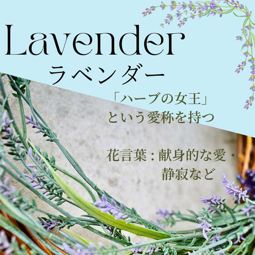 しめ縄風リース ラベンダー 8a722e311647ffeec978b0d2f5ce86