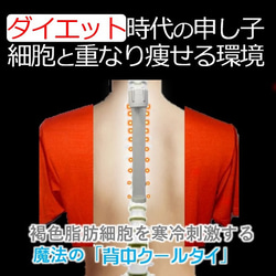着るクーラー  暑さ 熱中症対策 グッズ  軽装 クールビズ こもる熱 蒸れ 放出 背中冷却 冷やす魔法の背中クールタイ 20枚目の画像