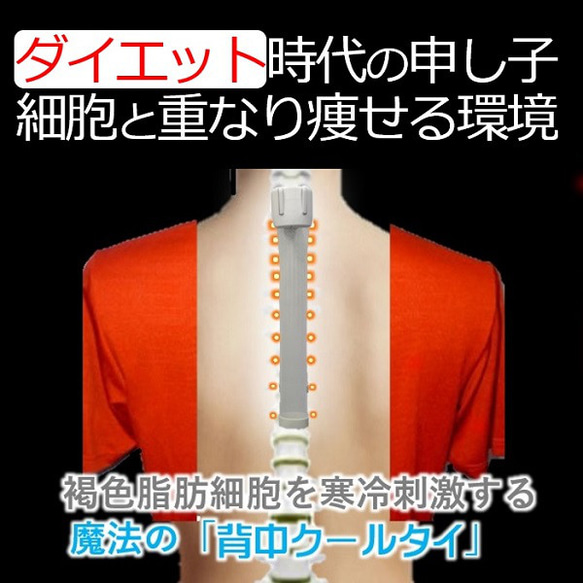 着るクーラー  暑さ 熱中症対策 グッズ  軽装 クールビズ こもる熱 蒸れ 放出 背中冷却 冷やす魔法の背中クールタイ 20枚目の画像