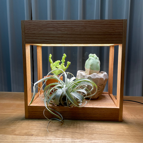 植物育成LEDライト［箱型、ナラ材］ おもちゃ・ペット小物 8929