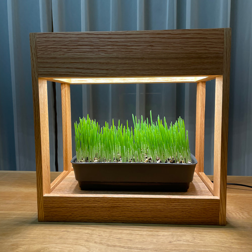 植物育成LEDライト［箱型、ナラ材］ おもちゃ・ペット小物 8929 通販