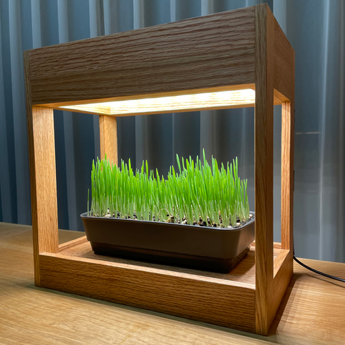 植物育成LEDライト［箱型、ナラ材］ おもちゃ・ペット小物 8929 通販