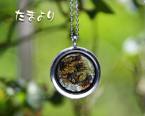 地球外鉱物・宇宙からの贈り物」パラサイト（セリコ隕石