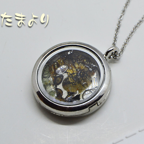 地球外鉱物・宇宙からの贈り物」パラサイト（セリコ隕石