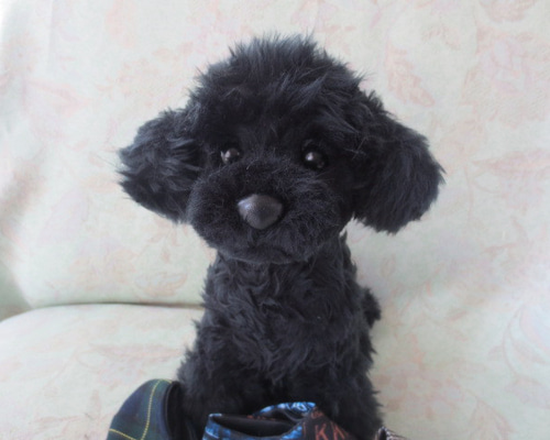 プードルブラックPoodle Blackのミニぬいぐるみ14cmバック
