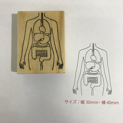  第1張的照片