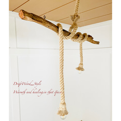 流木インテリア 古木風のシブく素敵な天然流木のシーリングライト ペンダントライト LED ランプ 照明器具 北欧 8枚目の画像