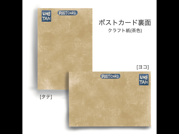 ポストカード【カワセミ】／1枚 4枚目の画像
