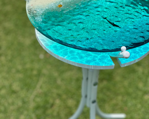 エメラルドブルーの海ホワイトビーチ イルカの親子 ガラスサイド