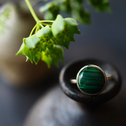 malachite silver ring (shinryoku) 1枚目の画像