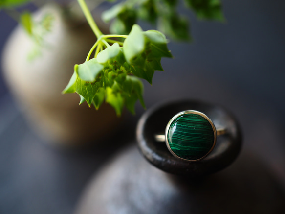 malachite silver ring (shinryoku) 1枚目の画像