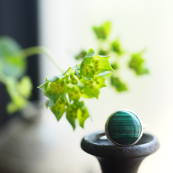 malachite silver ring (shinryoku) 5枚目の画像