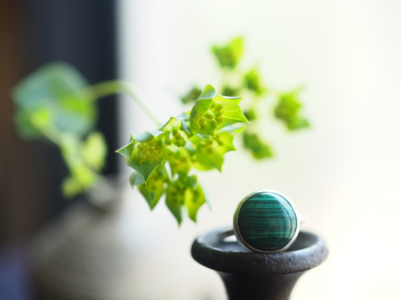 malachite silver ring (shinryoku) 5枚目の画像