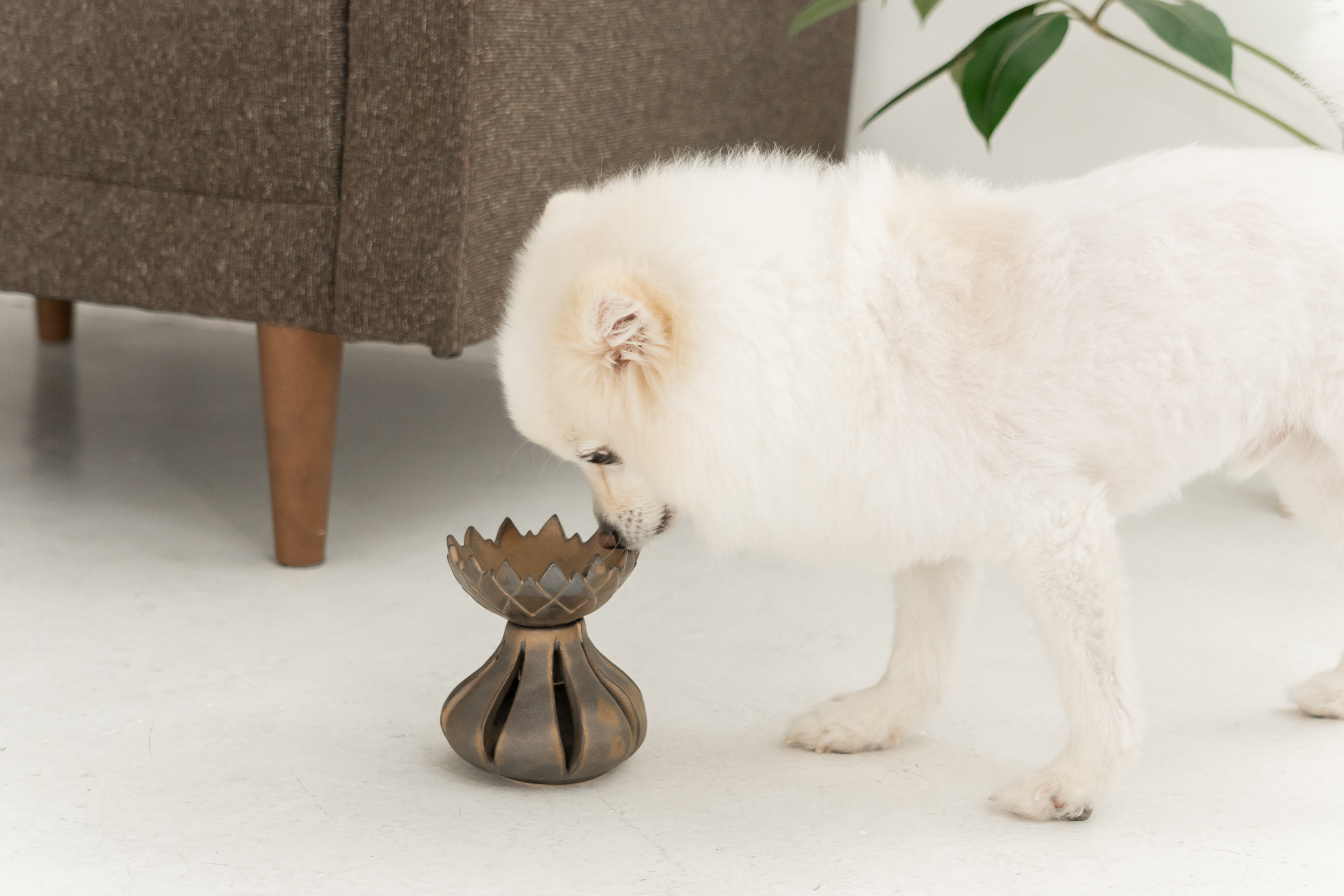 Golden Tulip  ドッグフードボウル　ペットボウル　食器スタンド　小型犬　中型犬　猫