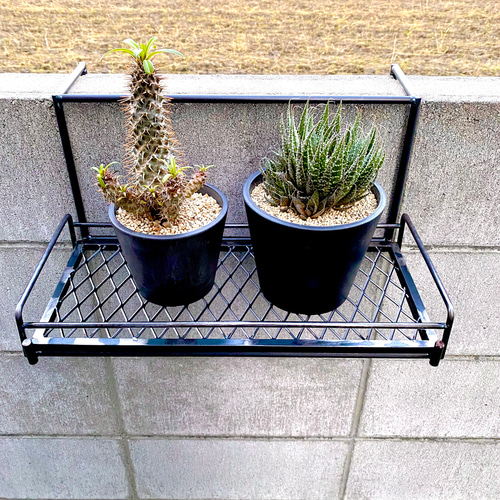 23新作☆ B hangon ☆ボタニカルラック 多肉植物 trippy wood 通販 