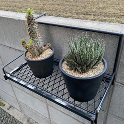 プランタースタンド（S）プランターBOX 植物棚 多肉植物 観葉