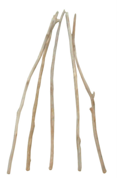 「送料無料」小枝細枝流木の５本セット e507 インテリア店舗ディスプレイ園芸華材撮影用DIY工作水槽用流木素材