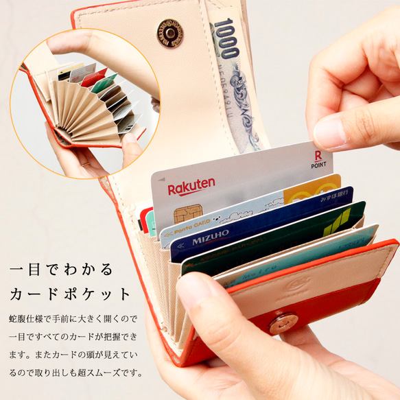 【PATTO】小さいのにお札が折れない！ 二つ折り 栃木レザーミニ財布 蛇腹 5color 14枚目の画像