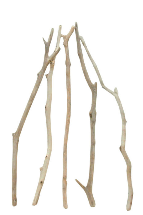 水槽用流木 5本セット 水槽用流木7本+石5個セット