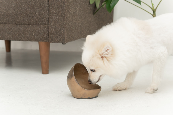 Golden Ceramic  ドッグフードボウル　ペットボウル　食器スタンド　小型犬　中型犬　猫 4枚目の画像