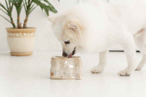 decoboko  ドッグフードボウル　ペットボウル　食器スタンド　小型犬　中型犬　猫 1枚目の画像