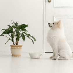 WAVE  ドッグフードボウル　ペットボウル　食器スタンド　小型犬　中型犬　猫 5枚目の画像