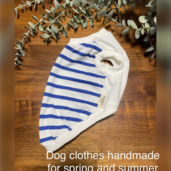 犬服　Blueボーダー　タンクトップ　⭐︎Sサイズ☆ ハンドメイド 1枚目の画像