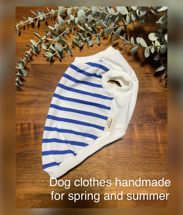 犬服　Blueボーダー　タンクトップ　⭐︎Sサイズ☆ ハンドメイド 1枚目の画像