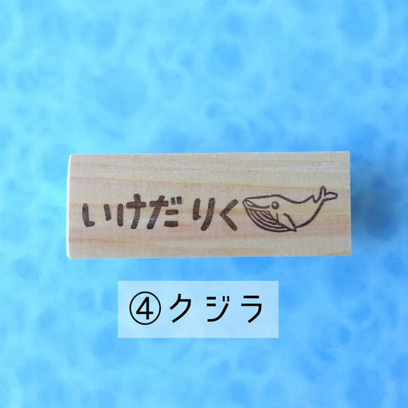 \好きな文字入れます/水族館で人気の生き物 消しゴムはんこ(イルカ･シャチ･ペンギン･クジラ･マンボウ･シロクマ) 6枚目の画像