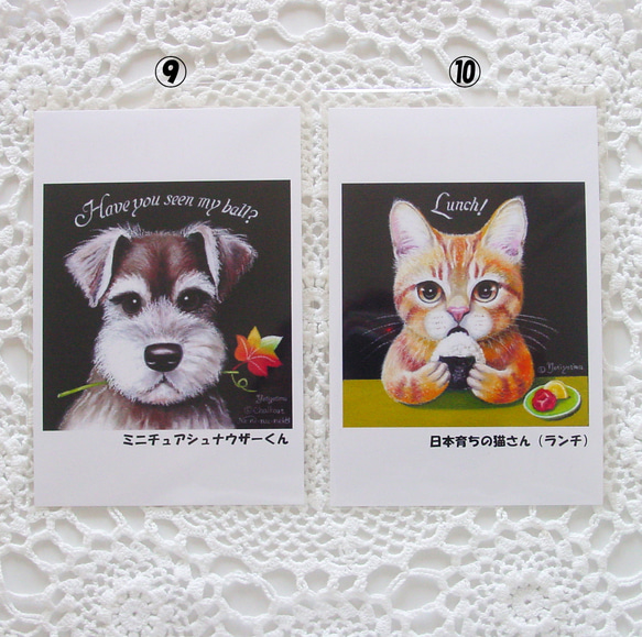 おすましアニマルのポストカード４枚・お好きな４枚選択・犬・猫・うさぎ・カワウソ・光沢ハガキ・各OPP袋入り・プレゼント 7枚目の画像