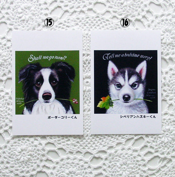 おすましアニマルのポストカード４枚・お好きな４枚選択・犬・猫・うさぎ・カワウソ・光沢ハガキ・各OPP袋入り・プレゼント 10枚目の画像