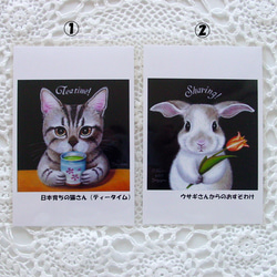 おすましアニマルのポストカード４枚・お好きな４枚選択・犬・猫・うさぎ・カワウソ・光沢ハガキ・各OPP袋入り・プレゼント 3枚目の画像