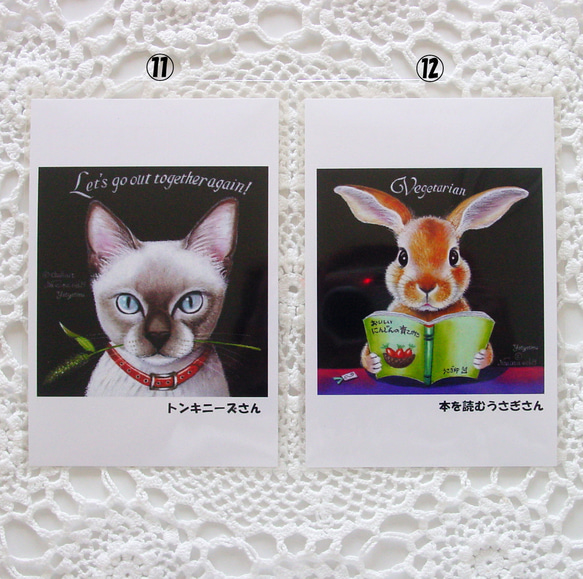 おすましアニマルのポストカード４枚・お好きな４枚選択・犬・猫・うさぎ・カワウソ・光沢ハガキ・各OPP袋入り・プレゼント 8枚目の画像