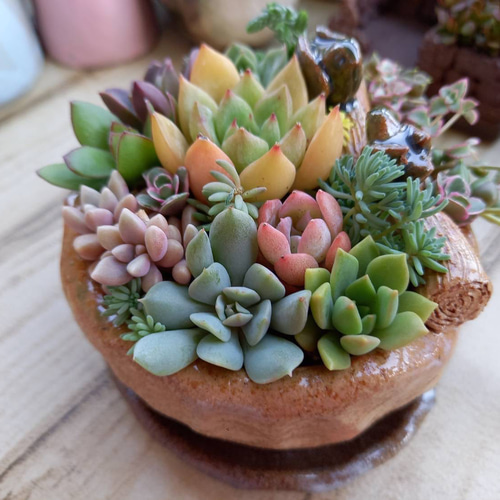 可愛い小鳥が集う手作り陶器の植木鉢&受け皿 その他インテリア