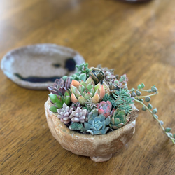 植木鉢 手作り のおすすめ人気通販 検索結果|Creema(クリーマ 植木鉢 手作り のおすすめ人気通販 検索結果|Creema(クリーマ