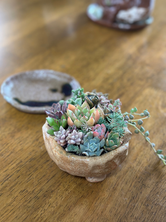 【500円引きクーポン】 可愛い小鳥が集う手作り陶器の植木鉢&受け皿 その他インテリア タレント・お笑い芸人