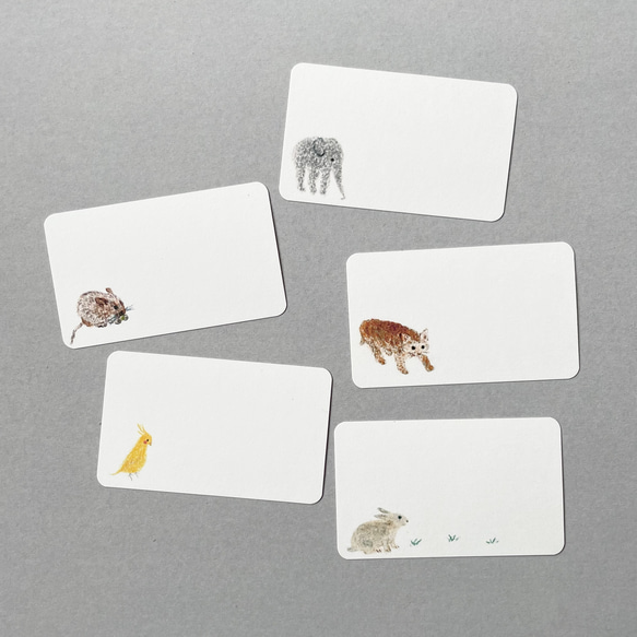 いろいろ動物メッセージカード 20枚 5枚目の画像