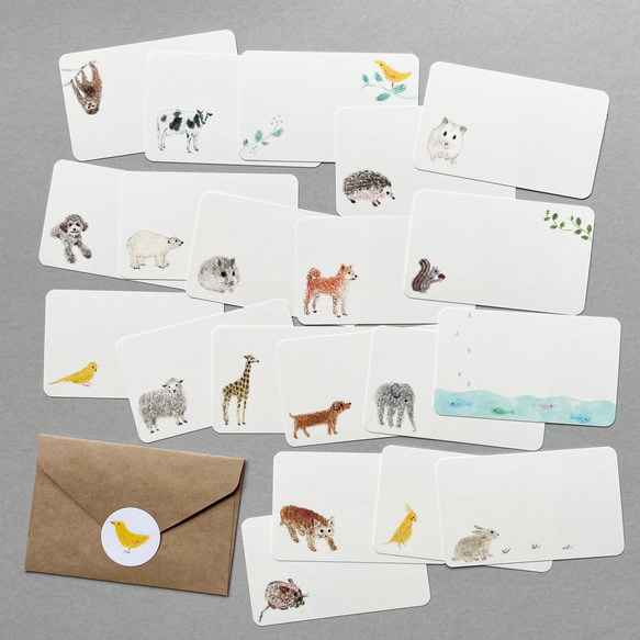 いろいろ動物メッセージカード 20枚 1枚目の画像