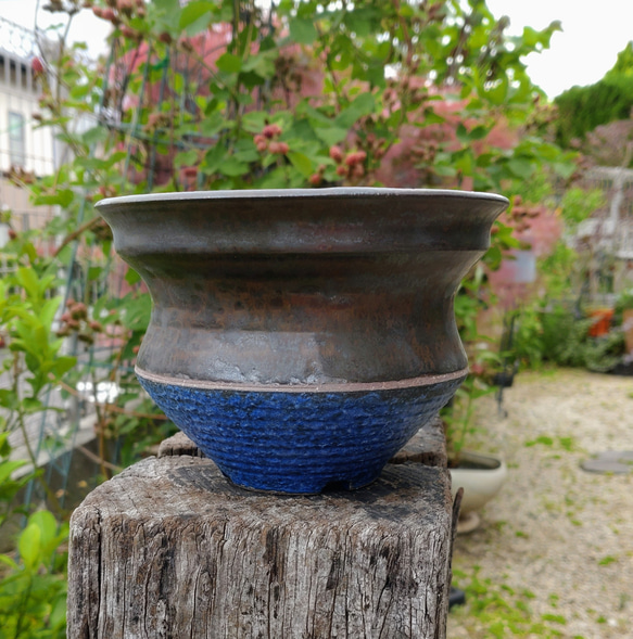 植木鉢陶器　多肉植物の魅力植木鉢　「漆＋碧」 1枚目の画像
