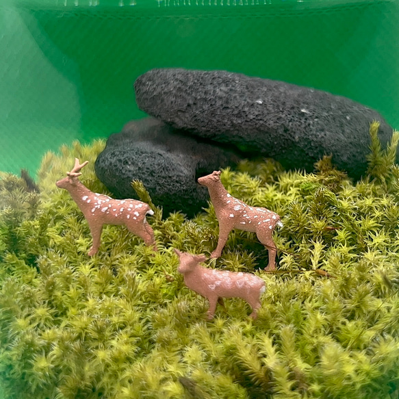 鹿　親子セット　苔テラリウムフィギュア 1枚目の画像