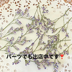 人気花材ブルーファンタジアドライフラワー小分け❣️ハンドメイド花材 2枚目の画像