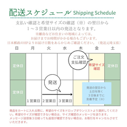  第11張的照片