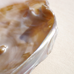 天然貝皿イケチョウガイ(池蝶貝)約17.1×12.3cm 淡水パール付きシェル トレイ[fwpm-230519-01] 8枚目の画像
