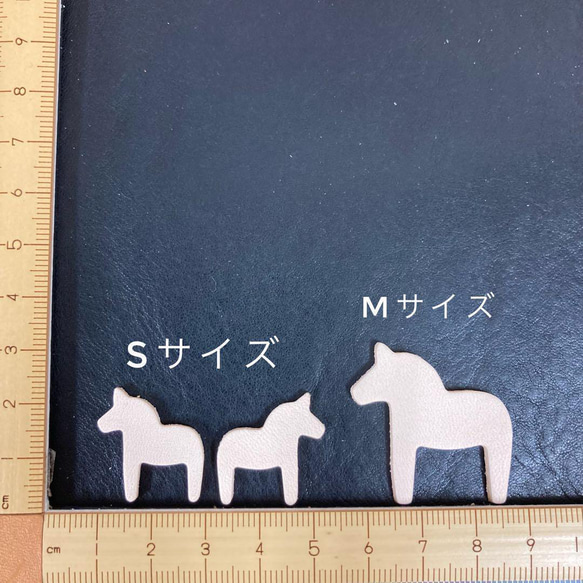  第2張的照片