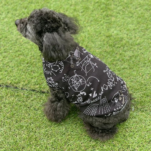 ロゴプリント わんちゃん服 速乾 薄手 3カラー 3サイズ 犬服 ドッグ