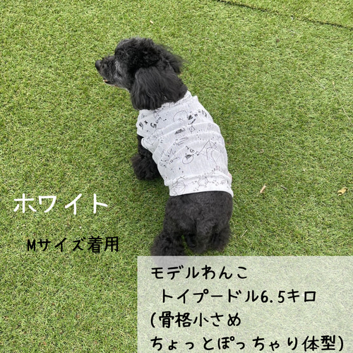 ロゴプリント わんちゃん服 速乾 薄手 3カラー 3サイズ 犬服 ドッグ
