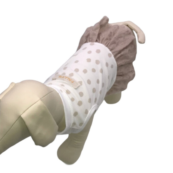 冷感 抗菌 メッシュ 犬服 夏服 クール タンクトップ ドット スカート イタグレ コーギー ダックス フレブル チワワ 6枚目の画像