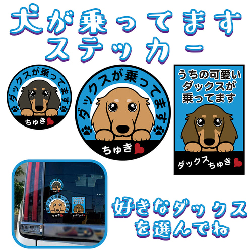 犬乗ってますステッカー ダックス ミニチュアダックス 犬