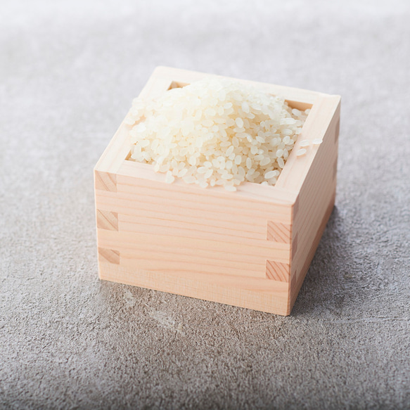 北海道　水芭蕉米　なごみ使用 The北海道ファームの米粉麺【白米2個＆玄米2個】【作品紹介文をご確認ください。】 7枚目の画像