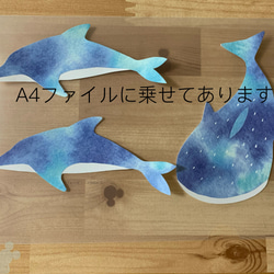 小さな壁面飾り【海の仲間たち】夏　海　クジラ　イルカ　ジンベイザメ 2枚目の画像